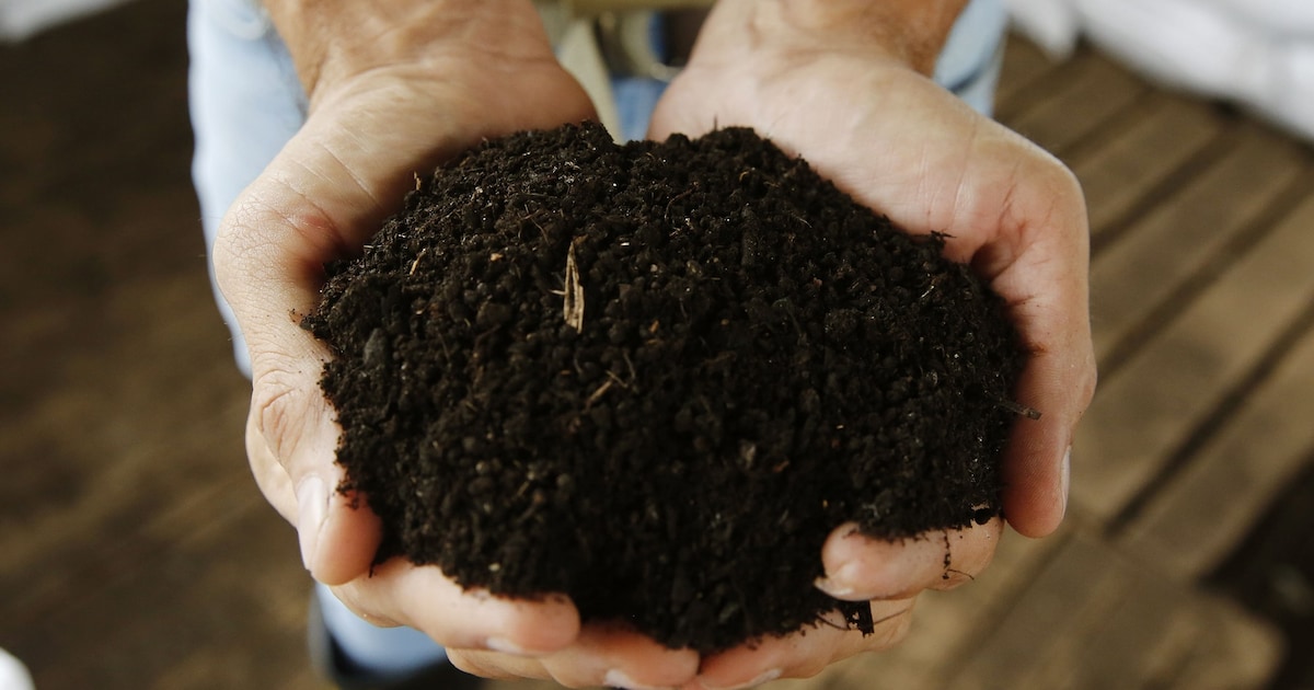 Nunspeet deelt zaterdag gratis compost uit als bedankje voor het scheiden van afval