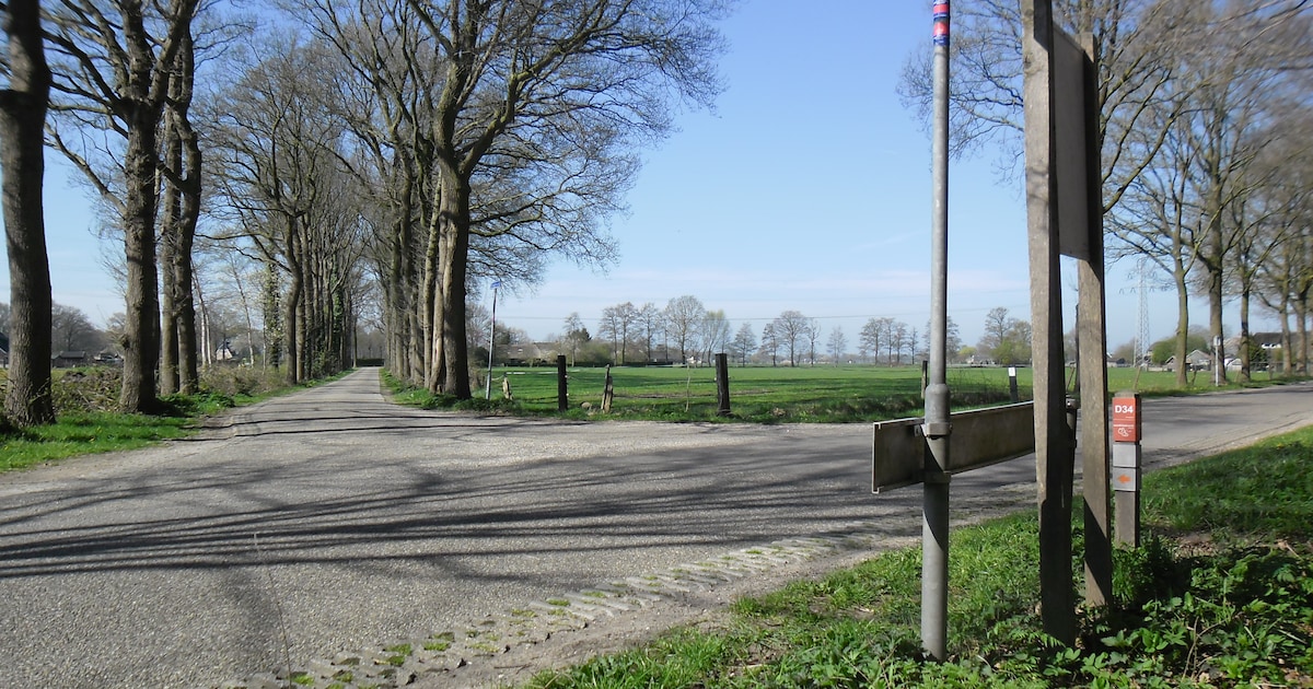 Groen licht voor nieuwbouw Elshof in Olst-Wijhe