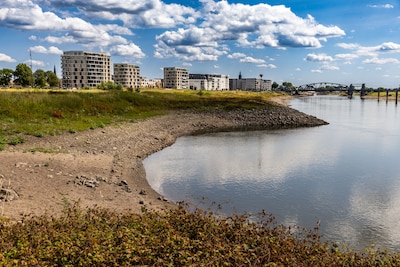 هل يمكن أن يصبح IJssel جافًا تمامًا؟ (و5 أسئلة أخرى حول انخفاض المياه)