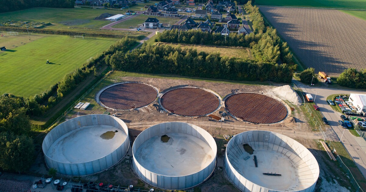 Bedrijf achter omstreden mestsilo's in Bant genomineerd als ‘ondernemer van het jaar’