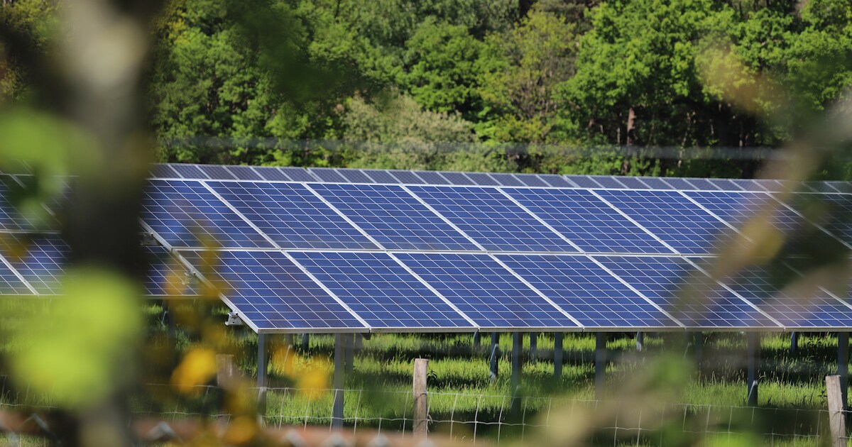 Zonnepark onder windmolens De Veenwieken een kwart minder groot