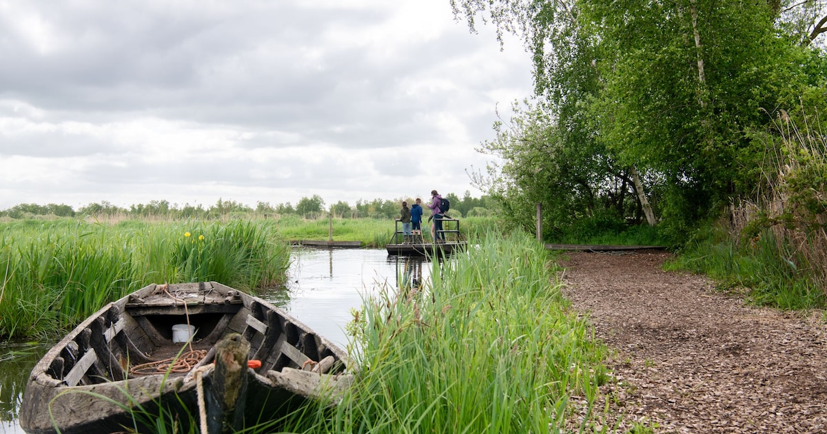 Beleefweek in Nationaal Park Weerribben-Wieden met activiteiten voor gezinnen
