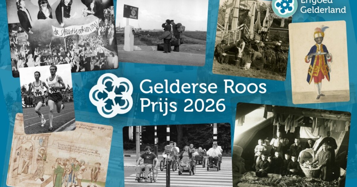 Top 3 Gelderse Roos Prijs 2026 bekend | Regio | De Stentor.nl