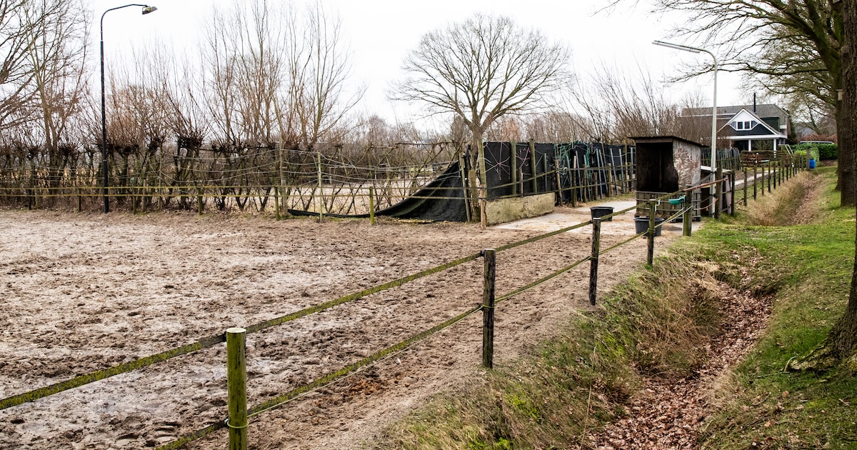 Als grondruil tussen buren mislukt beginnen de irritaties: ‘We kunnen niet eens rustig in de woonkam