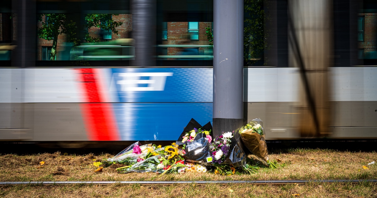 Gymnasiumdiploma net op zak, dan slaat noodlot toe: ‘fantastische leerling’ overlijdt bij aanrijding met tram.
