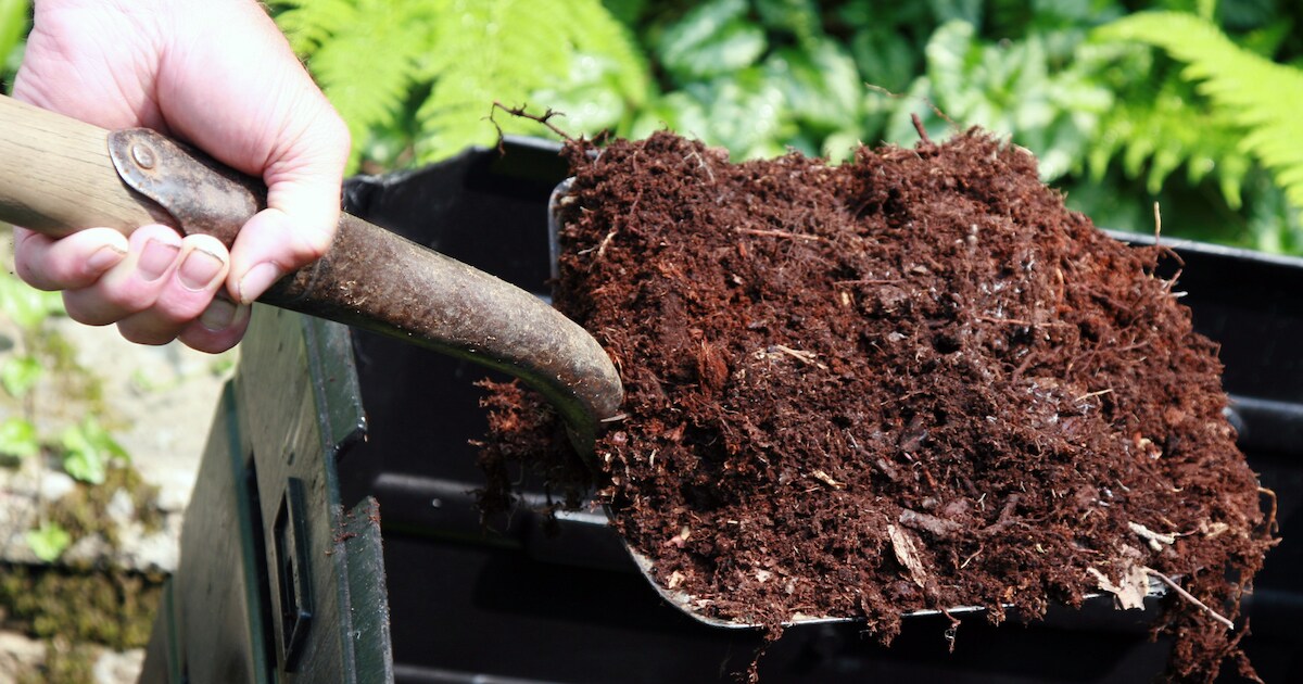 Putten komt met gratis compostactie om inwoners te bedanken voor ...