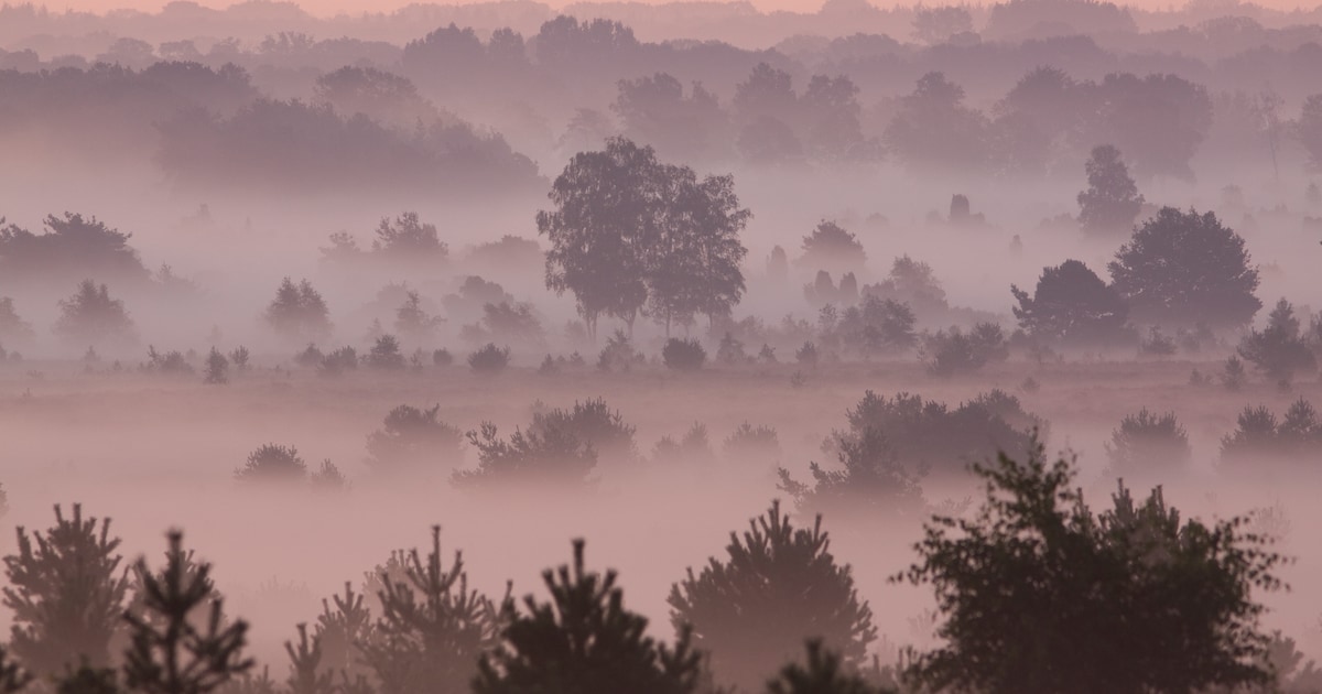 Opklaringen en lokaal nevel of mist in Zutphen in de nacht
