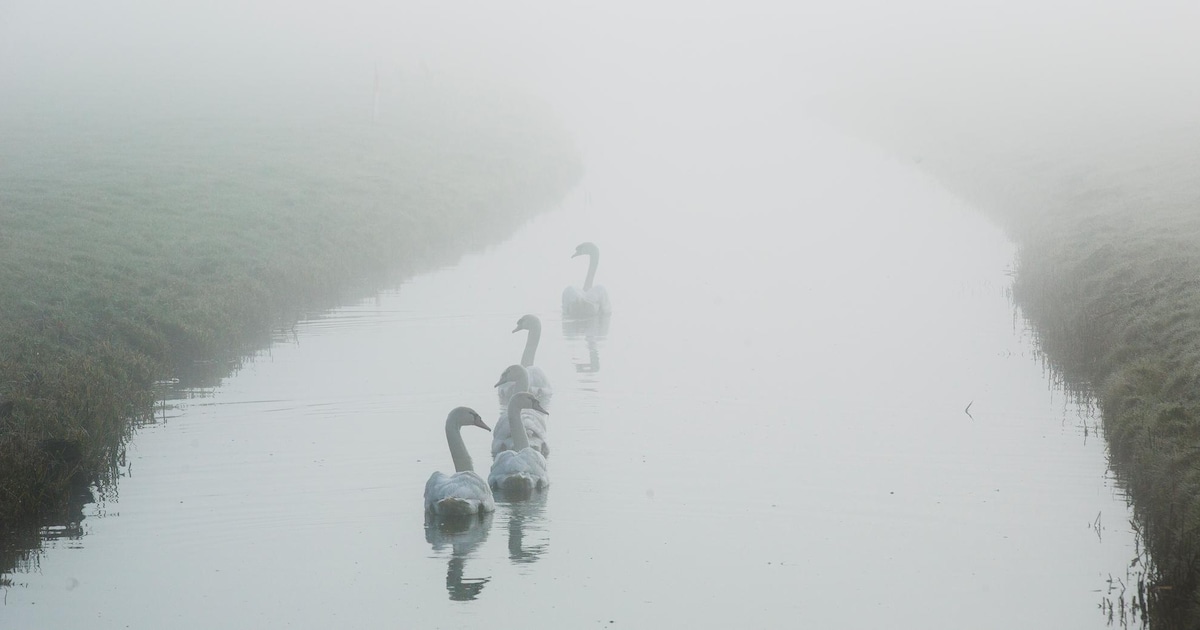 Zon en lokaal nevel of mist op Urk in de ochtend