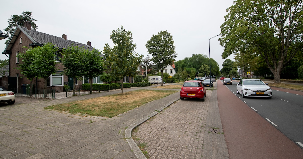 Apeldoorn schrapt parkeerplekken, buurt vreest toekomst: ‘Alles staat nu al vol’