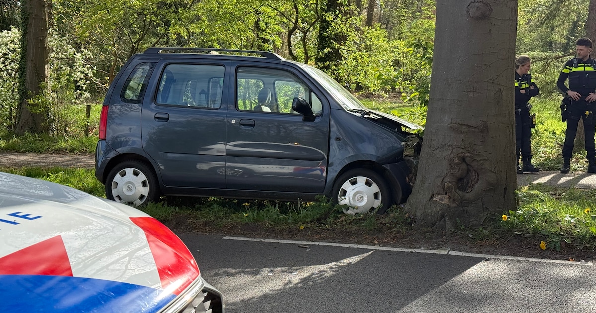 Auto botst tegen boom op de Bathmenseweg in Lettele