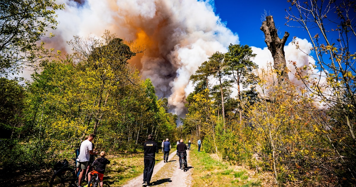 Dit weten we tot nu toe over de enorme natuurbrand op de Veluwe