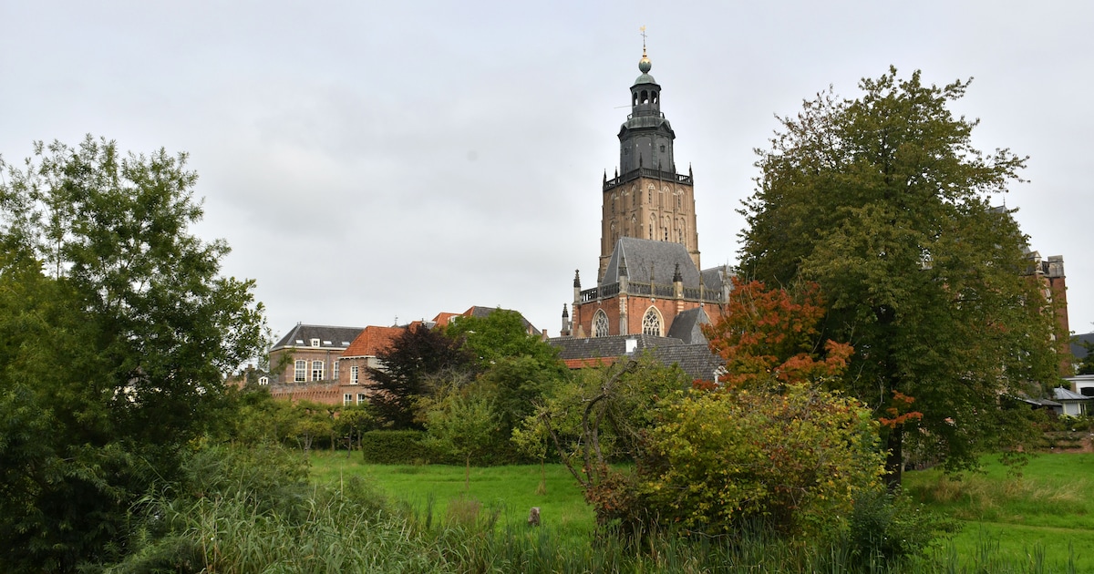 bouw-van-woningen-bij-zutphense-kattenhaven-mag-doorgaan-voldoende