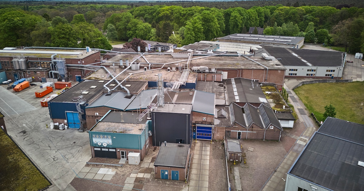 ‘Mijn hart gaat uit naar alle medewerkers’: lezers reageren op de failliete papierfabriek Coldenhove