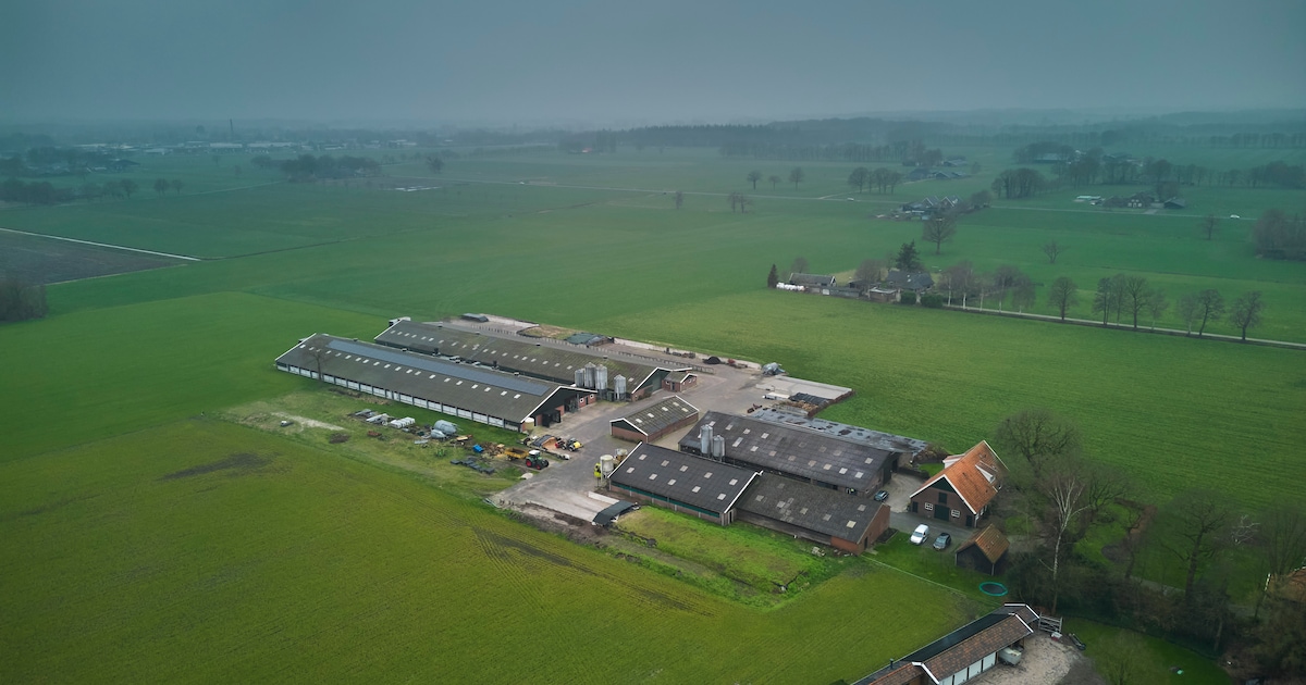 Boer wil stal voor kippen, maar is na zeven jaar bang voor post in de brievenbus