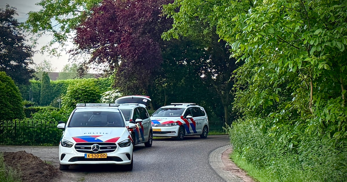 Overval op woning in Oldenzaal, politie zet speurhond in bij onderzoek