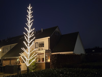 Hoe een zieke perenboom leidt tot een alles verdringend project met achtduizend lichtjes