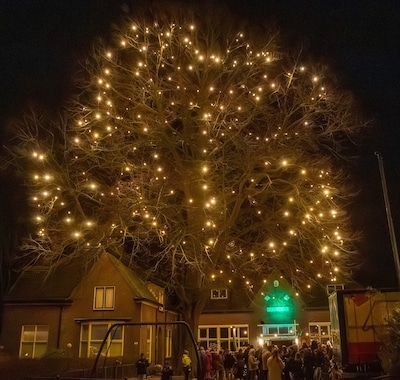 Ze branden weer, de lampjes in de traditionele kerstboom in De Vecht