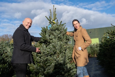 Waarom de kerstbomenverkoop nu al piekt: ‘Hopen dat boom niet uitdroogt door vloerverwarming ’