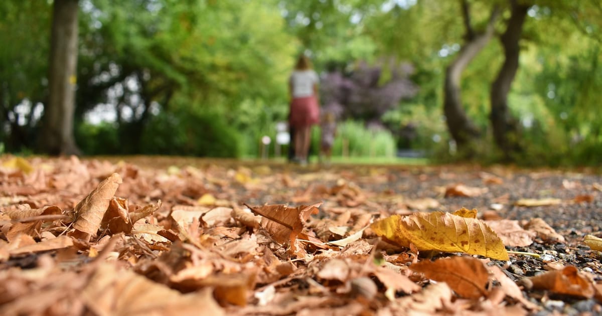 Dit is de weersverwachting voor november: 'De maand begint vrij zacht'
