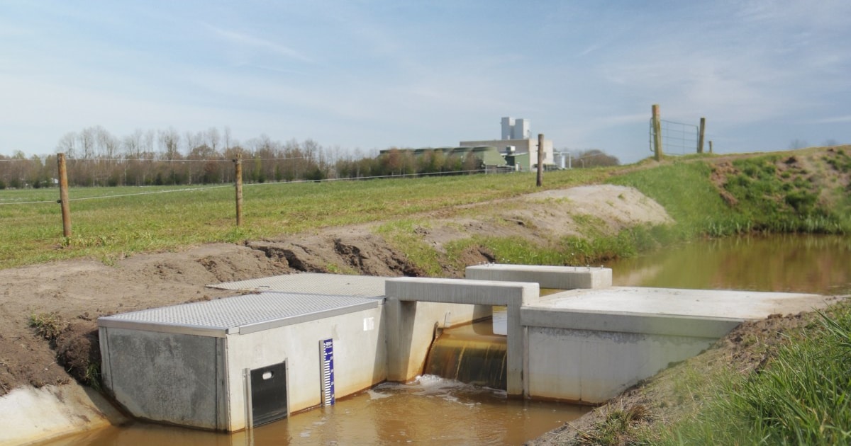 Waterschap geeft vissen meer ruimte met aanleg van extra vispassages