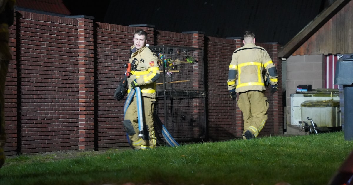 Woningbrand Wezep: bewoonster met vogeltjes in veiligheid gebracht