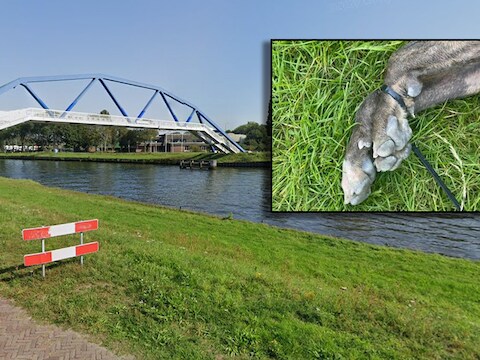 Martin gooit zijn hond met vastgebonden poten in kanaal Zwolle, maar wijst nu naar iemand anders