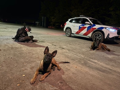 Buurt en politie slaan terug: klopjacht op inbrekers met helikopters en honden bij Espel