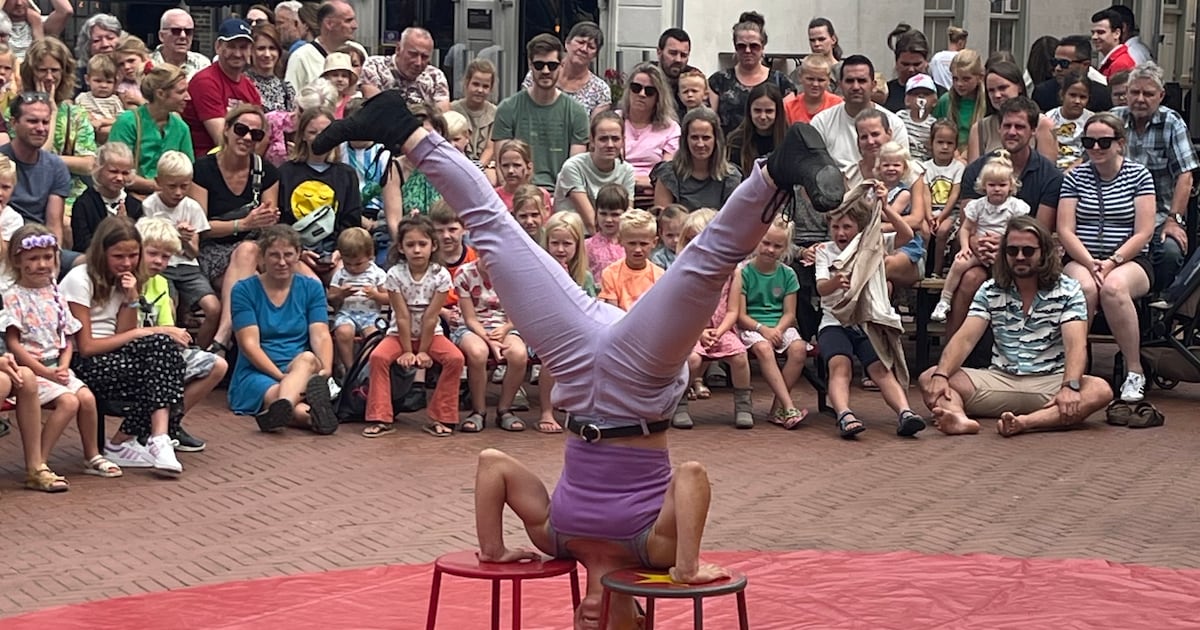 Steenwijk wordt circusstad met workshops, kermis en muziek | Steenwijkerland
