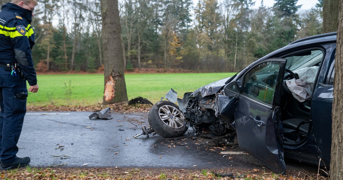 Flinke schade door ongeluk bij Lettele: auto raakt van de weg en botst ...
