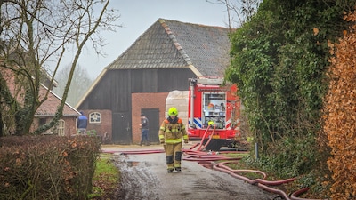 Buurman vangt koeien op die schuurbrand overleven, getroffen agrariër erg geschrokken