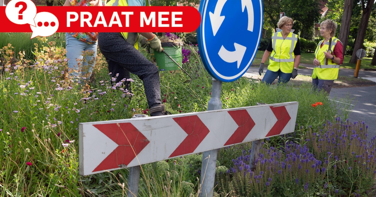 Praat mee | Welke verwaarloosde rotondes zijn toe aan een opknapbeurt?