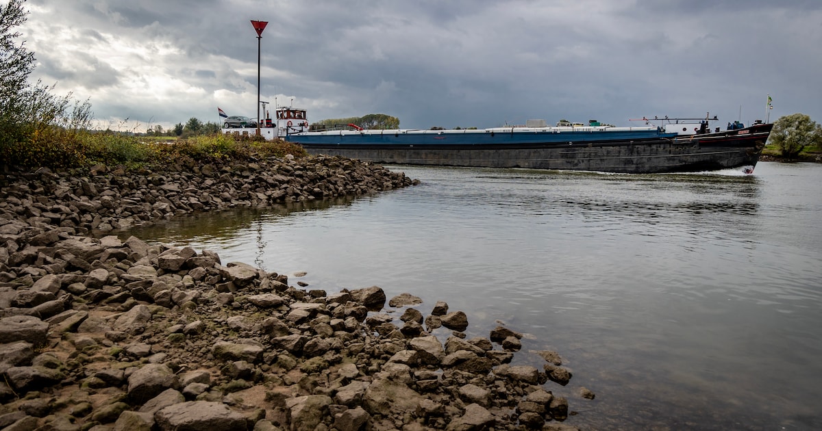 Joop ziet plots een been in de IJssel: drie jaar later gebeurt wat onmogelijk werd geacht