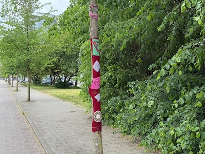 Mysterie in Oost: waarom dragen deze bomen ineens een gebreide trui?