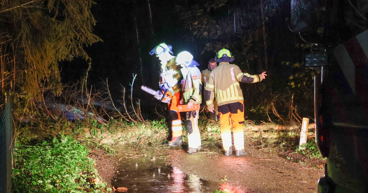 Boom waait om en belandt op weg in Soest