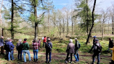 IVN-gidsen tonen zaterdag de voorjaarspracht van gebied Vossen nabij Garderen