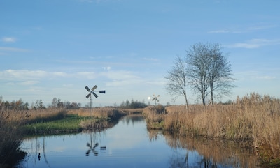 Natuurmonumenten zoekt helpende handen voor knotten van wilgen in Weerribben-Wieden