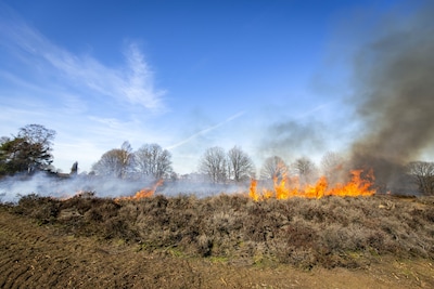 Op vijf plekken in Twente is een hoge kans op een grote natuurbrand (en hier gaat er iets aan gebeur
