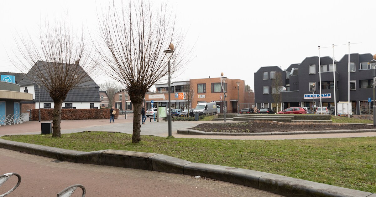 Nieuw groen en herdenkingsboom op Van de Pollplein Wapenveld voor 850 jaar Heerde