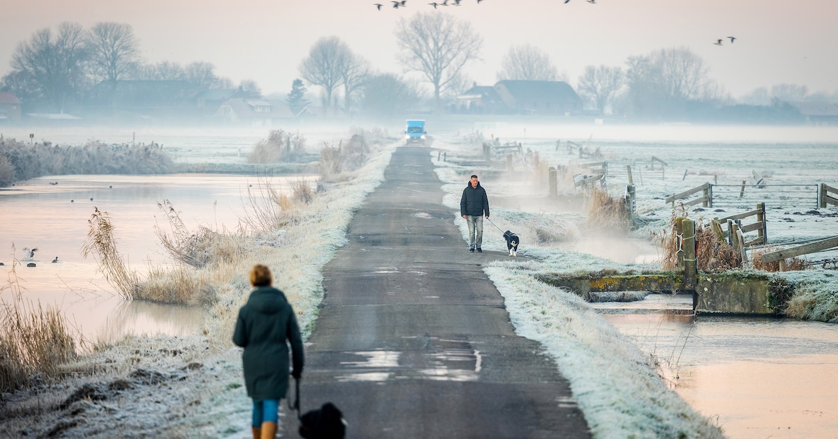 Als het ene baasje ziet dat een andere baasje zijn hond niet heeft aangelijnd, gaat het mis in Nordh