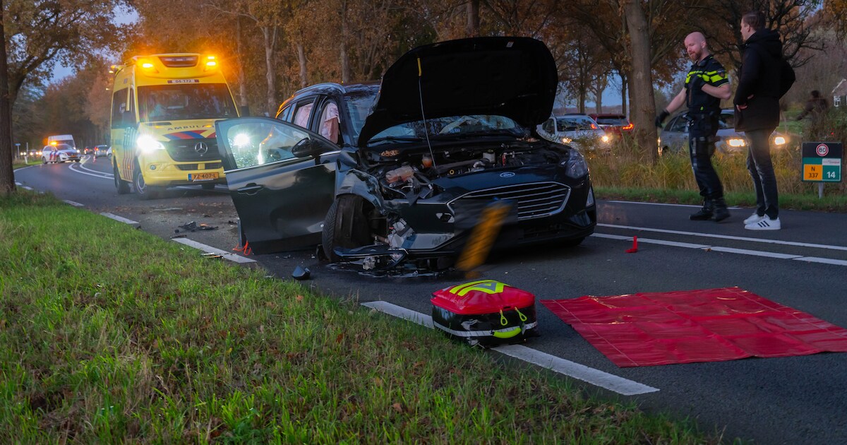 Bestuurder knalt op boom bij Den Nul: slachtoffer komt met de schrik vrij