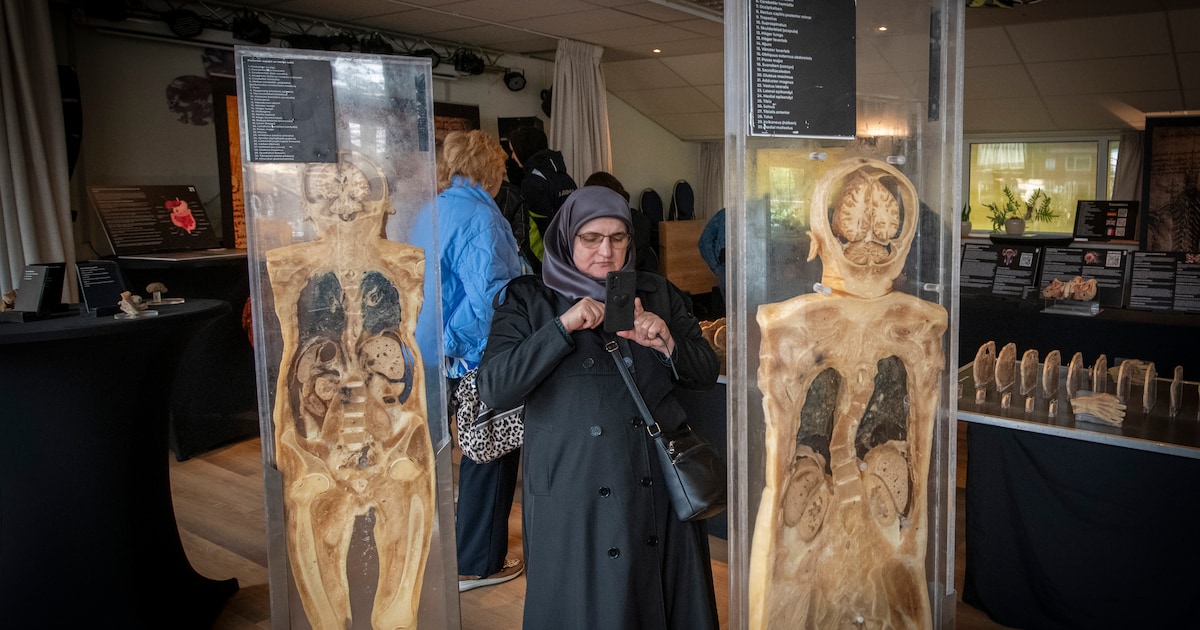 In dit buurthuis liggen échte menselijke lichaamsdelen en organen uitgestald: ‘Wel even iets anders 