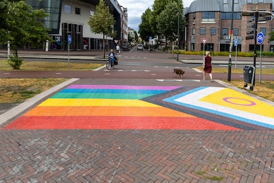 Regenboogpad Deventer werd keer op keer besmeurd, nu kan de camera weg