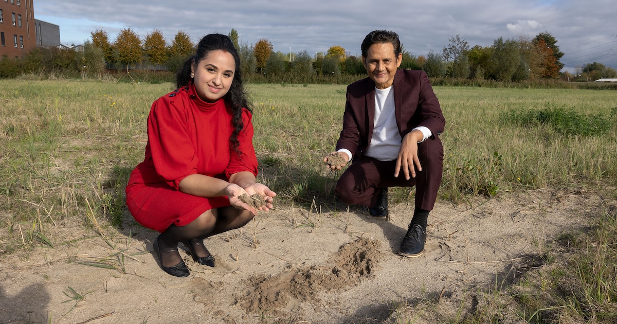 Grootste hindoetempel van Europa moet in Nederland komen: ‘Een hele uitdaging’