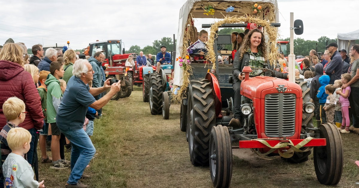 Oude trekkers, paardenshow en koeienkeuring te zien op Oogstfeest in Ermelo