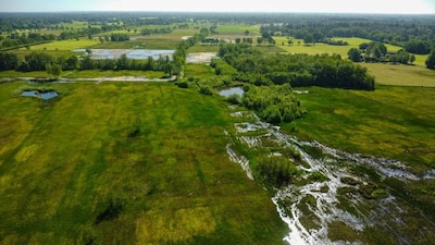 Meer ruimte voor zeldzame natuur in Wisselse Veen dankzij herstelwerk