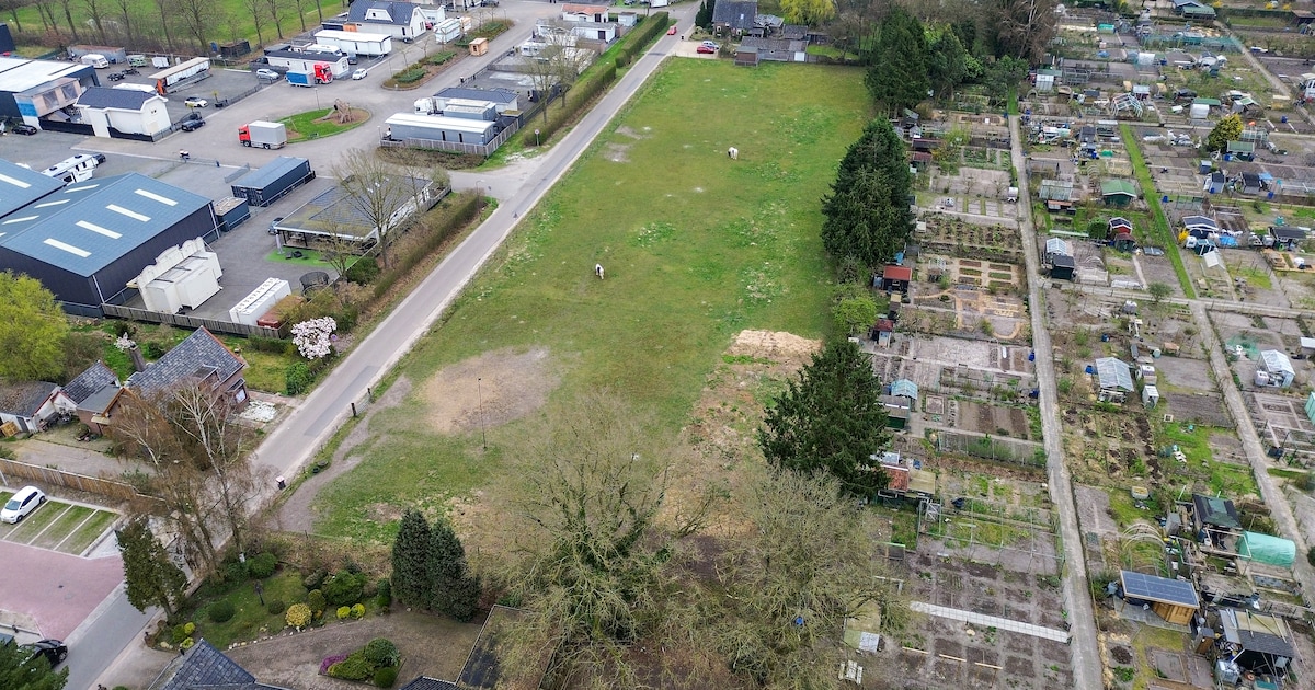 Eigenaars van weiland compleet verrast door brief van de gemeente: ‘Je voelt je machteloos’