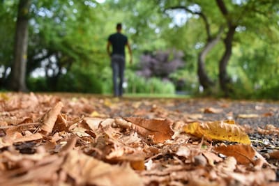 Het weer tijdens de herfstvakantie in Deventer: 'Een beetje vorst is niet uitgesloten'