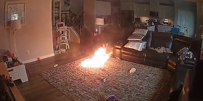 Hond krijgt accu te pakken en veroorzaakt brand in huis