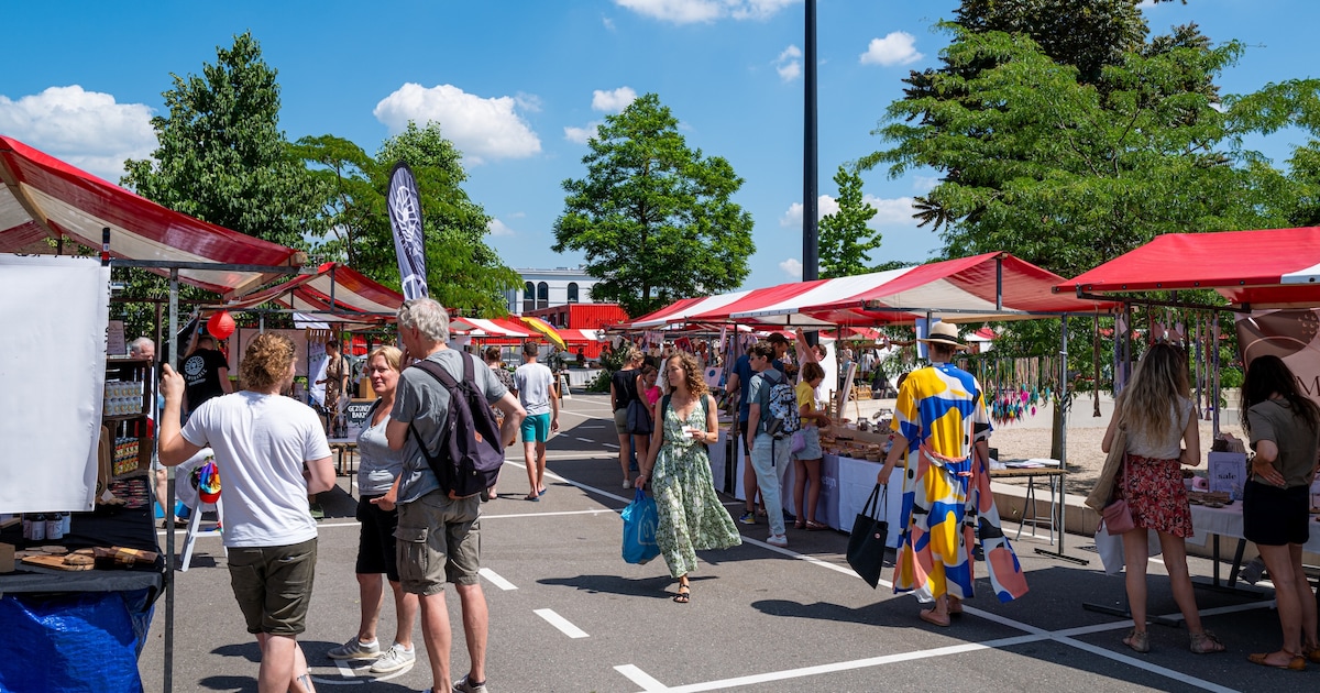 Struinen langs vintage en lokaal lekkers: De Nieuwe Stadsmarkt komt naar de Oliemolenhof