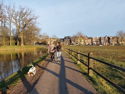 Hierom zijn er in Arnhem vrijwel geen omheinde losloopveldjes voor honden